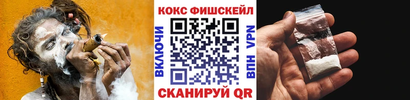 КОКАИН Fish Scale  Никольск 