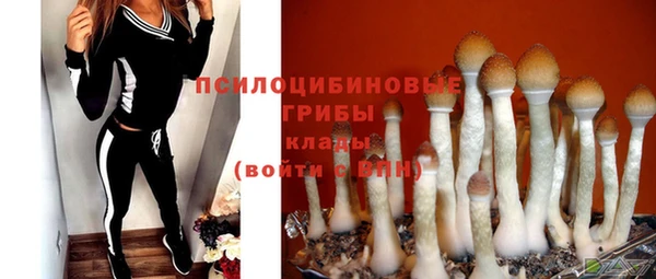 ГАЛЛЮЦИНОГЕННЫЕ ГРИБЫ Балахна