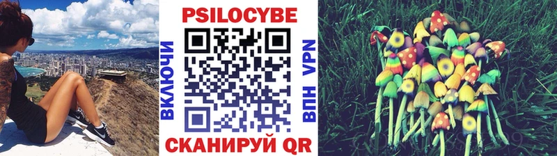 Псилоцибиновые грибы MAGIC MUSHROOMS магазин ОМГ ОМГ сайт Никольск